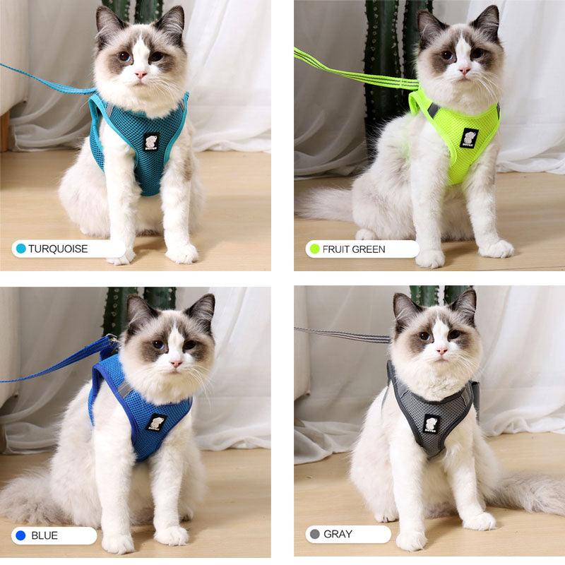The Wanderlust Cat Adventure Harness
