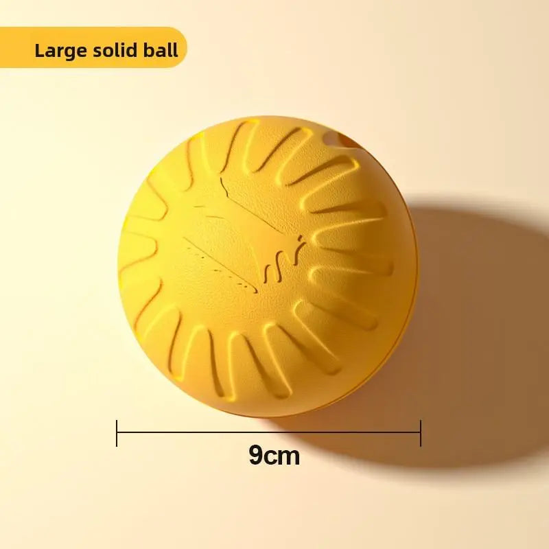 Dog Toy for Large Breeds - Ring Frisbee