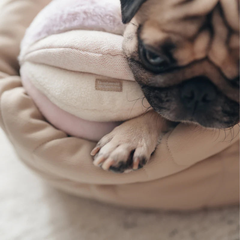 squeaky snuffle ball