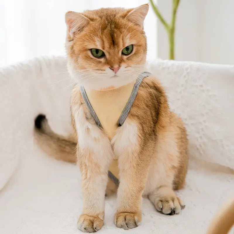 Breathable Anti-Licking Recovery Suit for Cats & Small Dogs - Post-Surgery Sterilization & Weaning Apparel with Cute Cartoon Graphics