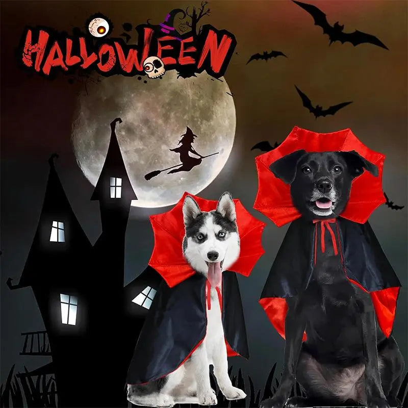 Magical Witch Cape for Halloween Vampire Cat Dog Costumes