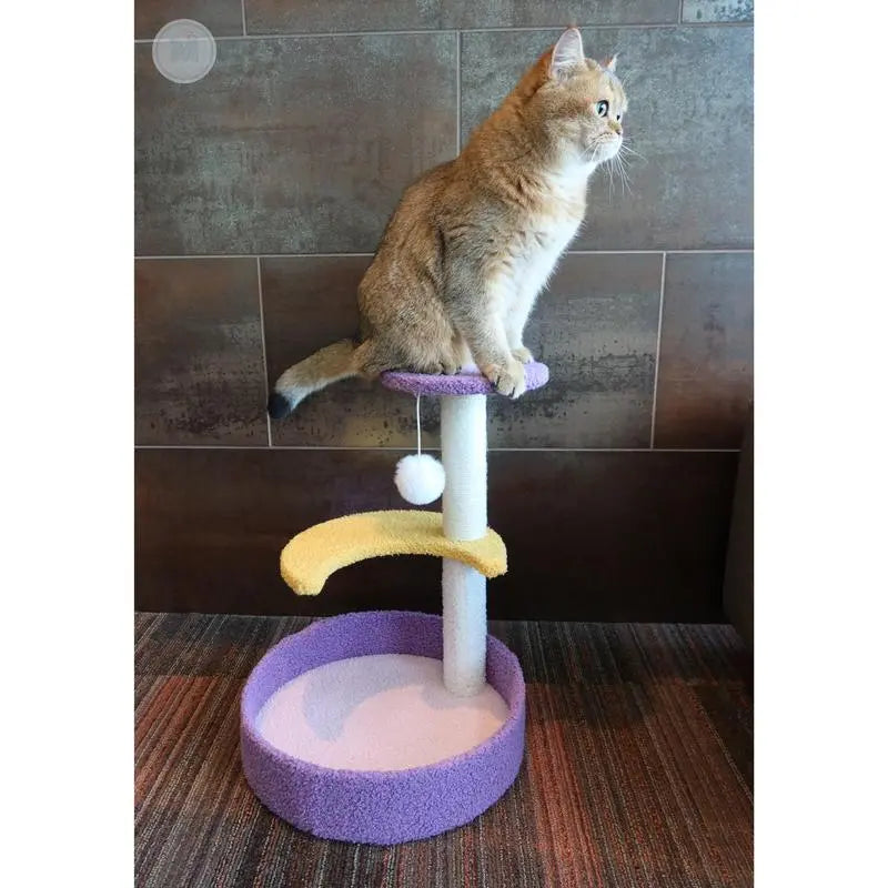 Moonlight Scratching Post, Night Sky Theme Cat Scratcher Tree with Sisal Posts Spacious Foldable Cat Scratching Board with Bell