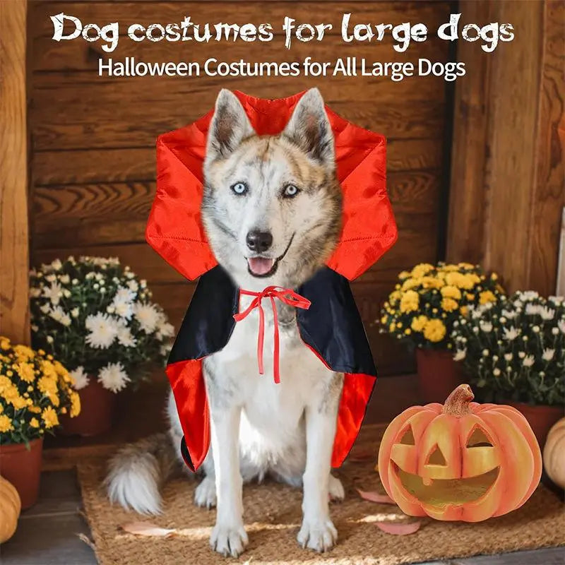 Magical Witch Cape for Halloween Vampire Cat Dog Costumes