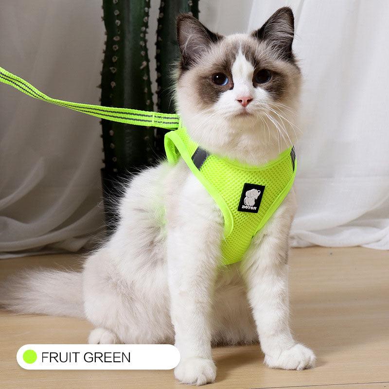 The Wanderlust Cat Adventure Harness