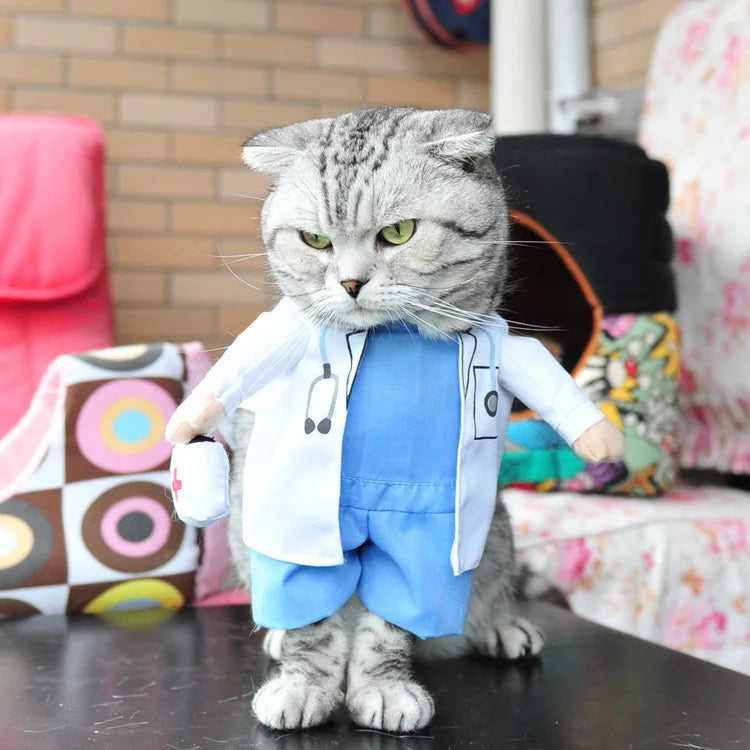 Cute Halloween Costumes for Pets by Zoomies & Co