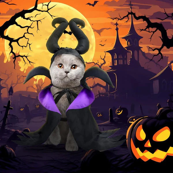 Halloween Witch-Shaped Costume for Cats & Dogs