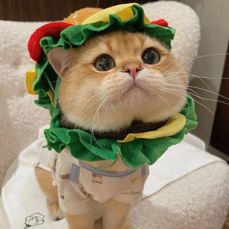 Halloween Pet Burger Costume