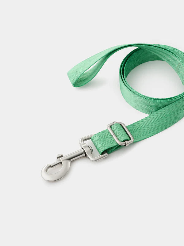 Flora Pet Backpack, Harness & Leash 3 In 1 Set