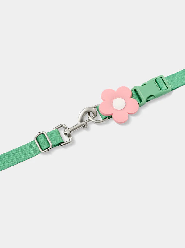 Flora Pet Backpack, Harness & Leash 3 In 1 Set