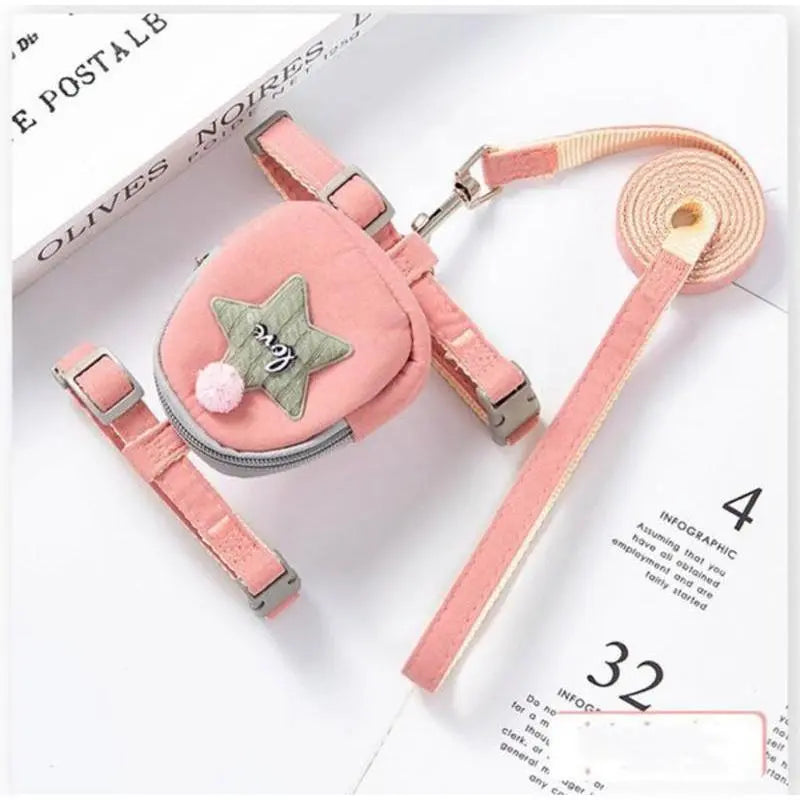 Leash with backpack in the shape of a box