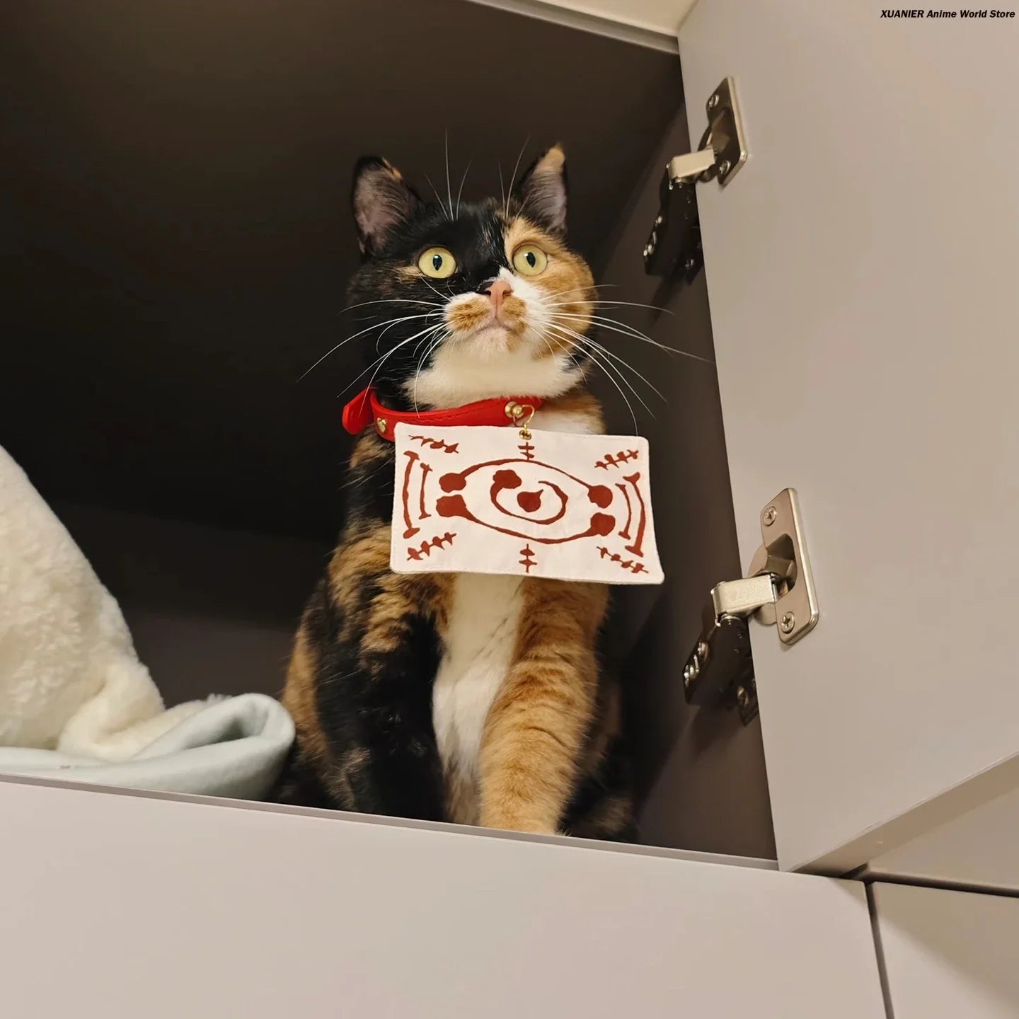 Demon Salyer Chachamaru Cat Clothes Coat Scarf