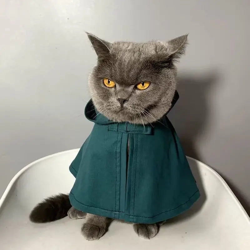 Attack on Titan Pet Halloween Costume