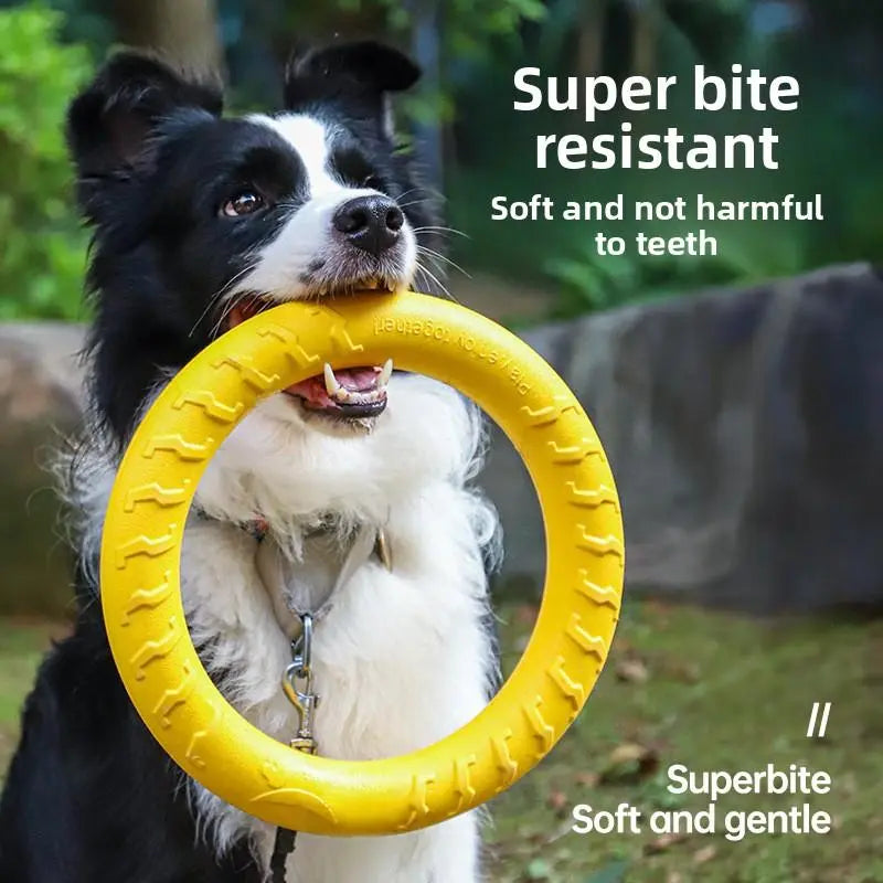 Dog Toy for Large Breeds - Ring Frisbee
