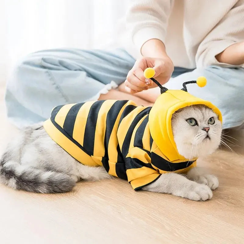 Bee Costume for Dogs