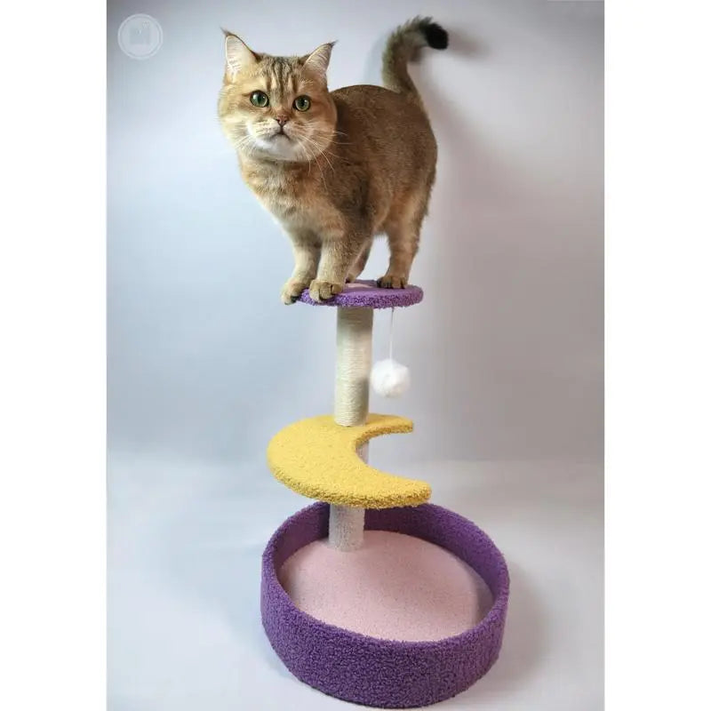 Moonlight Scratching Post, Night Sky Theme Cat Scratcher Tree with Sisal Posts Spacious Foldable Cat Scratching Board with Bell