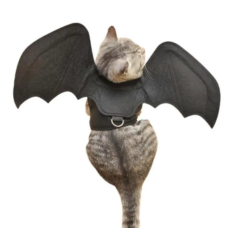 Unique Bat Wing Pet Costume for Dogs & Cats, Perfect Halloween Accessory, Transform Your Pets, Ideal for Dress-Up Performances