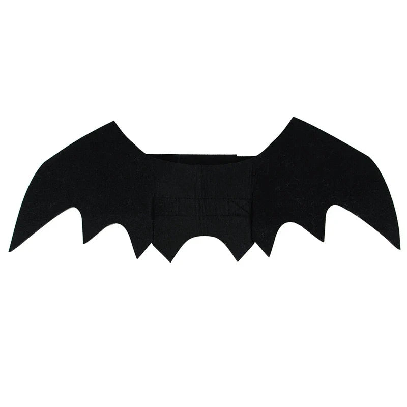 Cat Bat Wings Costume for Halloween