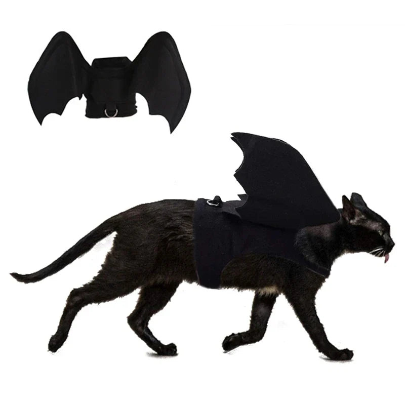 Cat Bat Wings Costume for Halloween