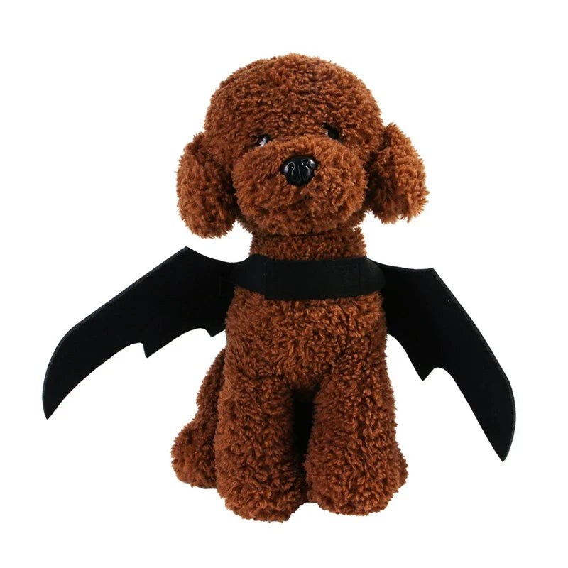 Cat Bat Wings Costume for Halloween