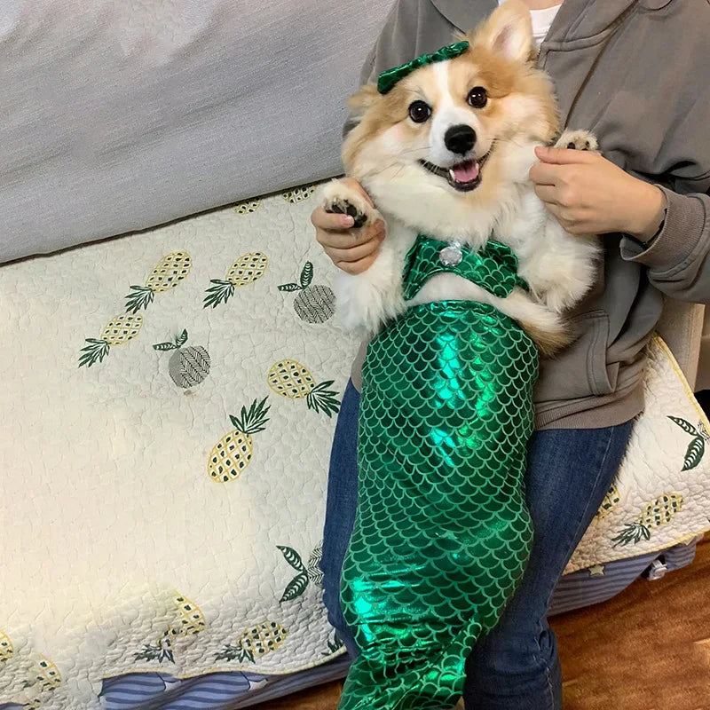 Cat Mermaid Costume