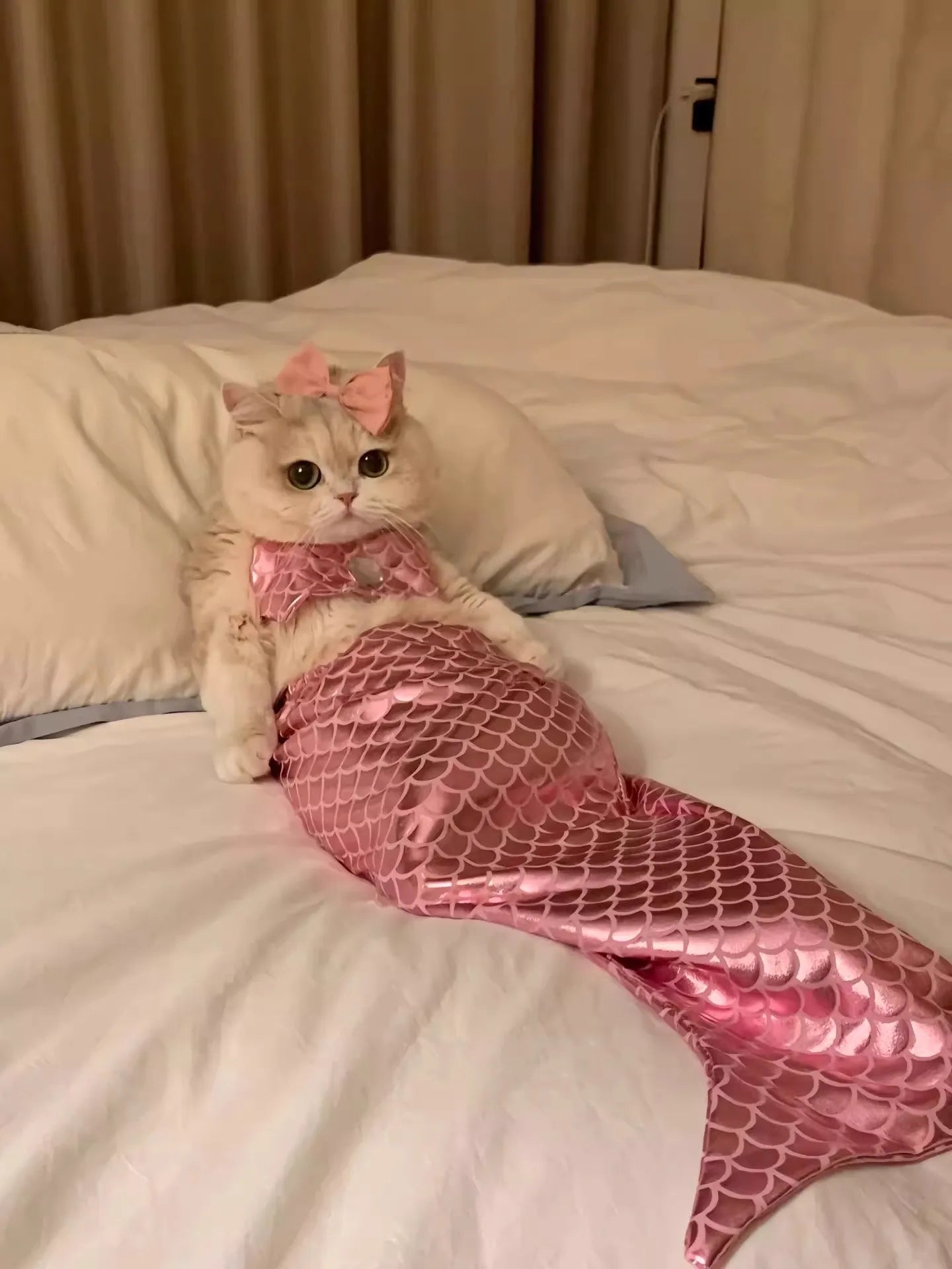 Cat Mermaid Costume