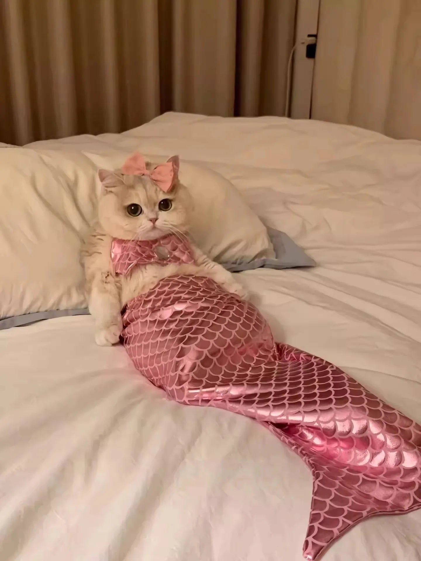 Cat Mermaid Costume