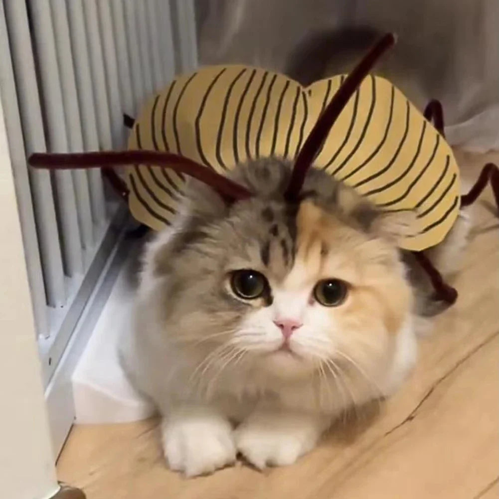 Cockroach Costume for Cats (Nuclear Halloween)