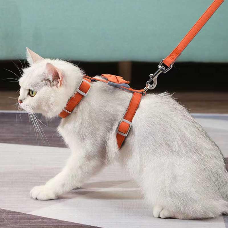 Colorful Cotton-Filled Cat Leash With Bow Detail