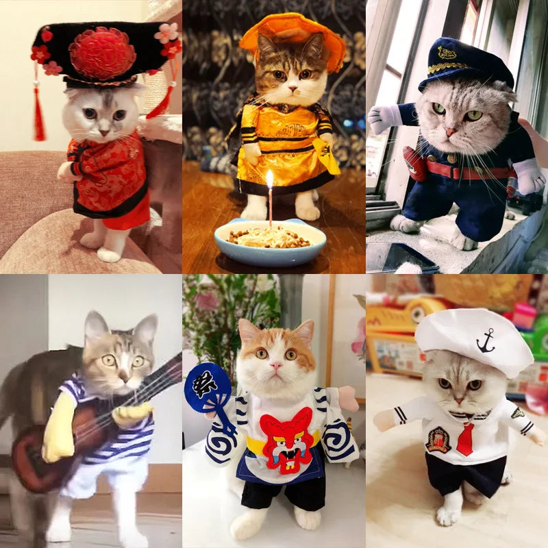 Cute Halloween Costumes for Pets by Zoomies & Co