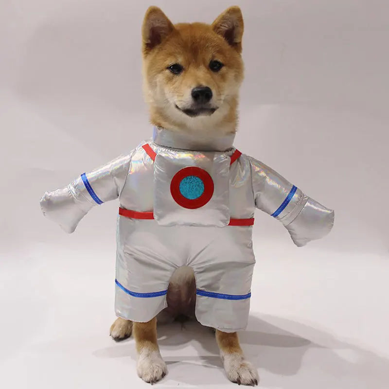 Cute Halloween Costumes for Pets by Zoomies & Co
