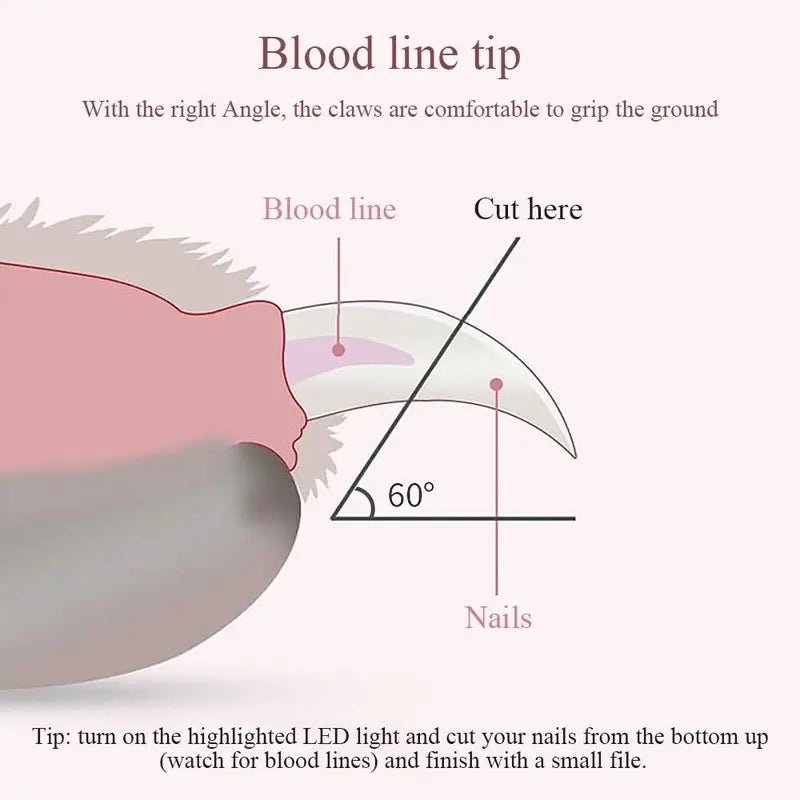 Pet Cats Dog Nail Clipper Cutter Stainless Steel Grooming Scissors Professional Clippers Claw Nail Scissors with LED Lights Pet