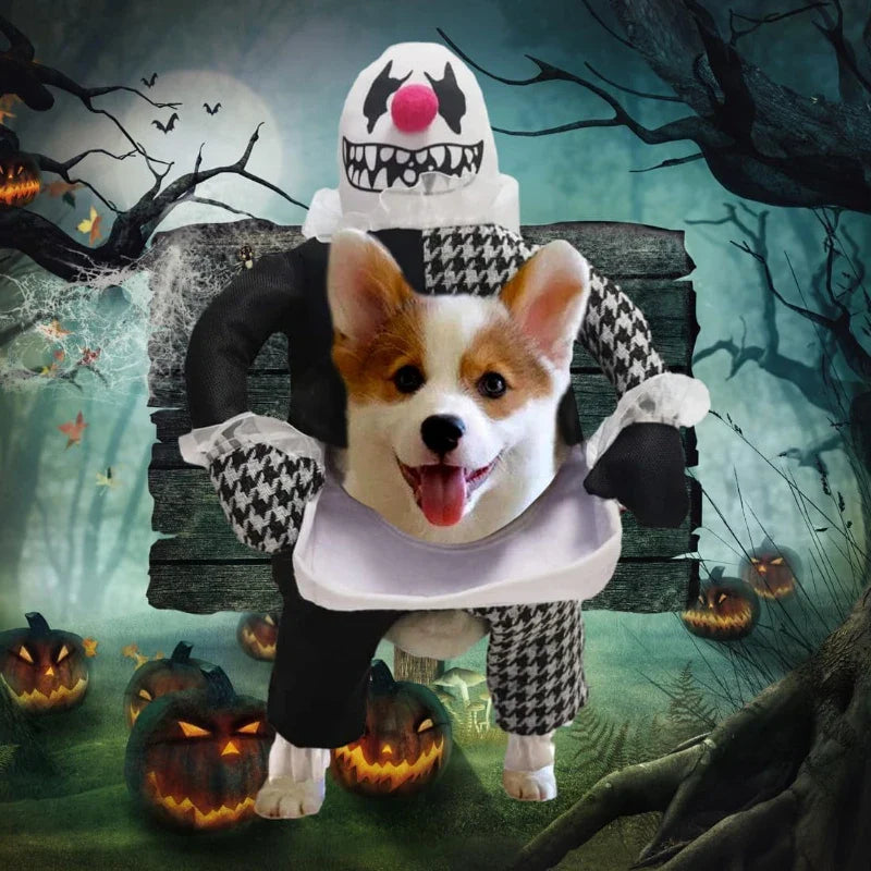 Dog Halloween Costume for Pets