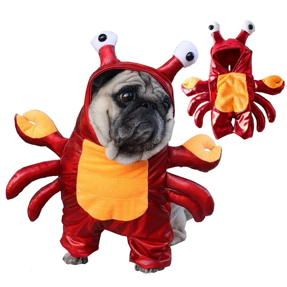 Dog and Cat Halloween Costume Set for Pets