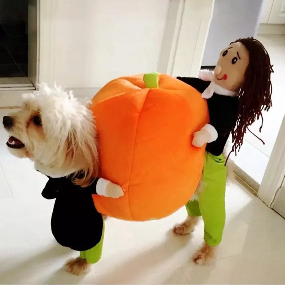 Dog and Cat Halloween Costume Set for Pets