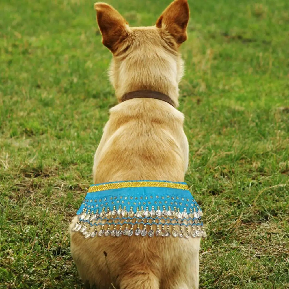 Dog Belly Dance Costume with Charming Details