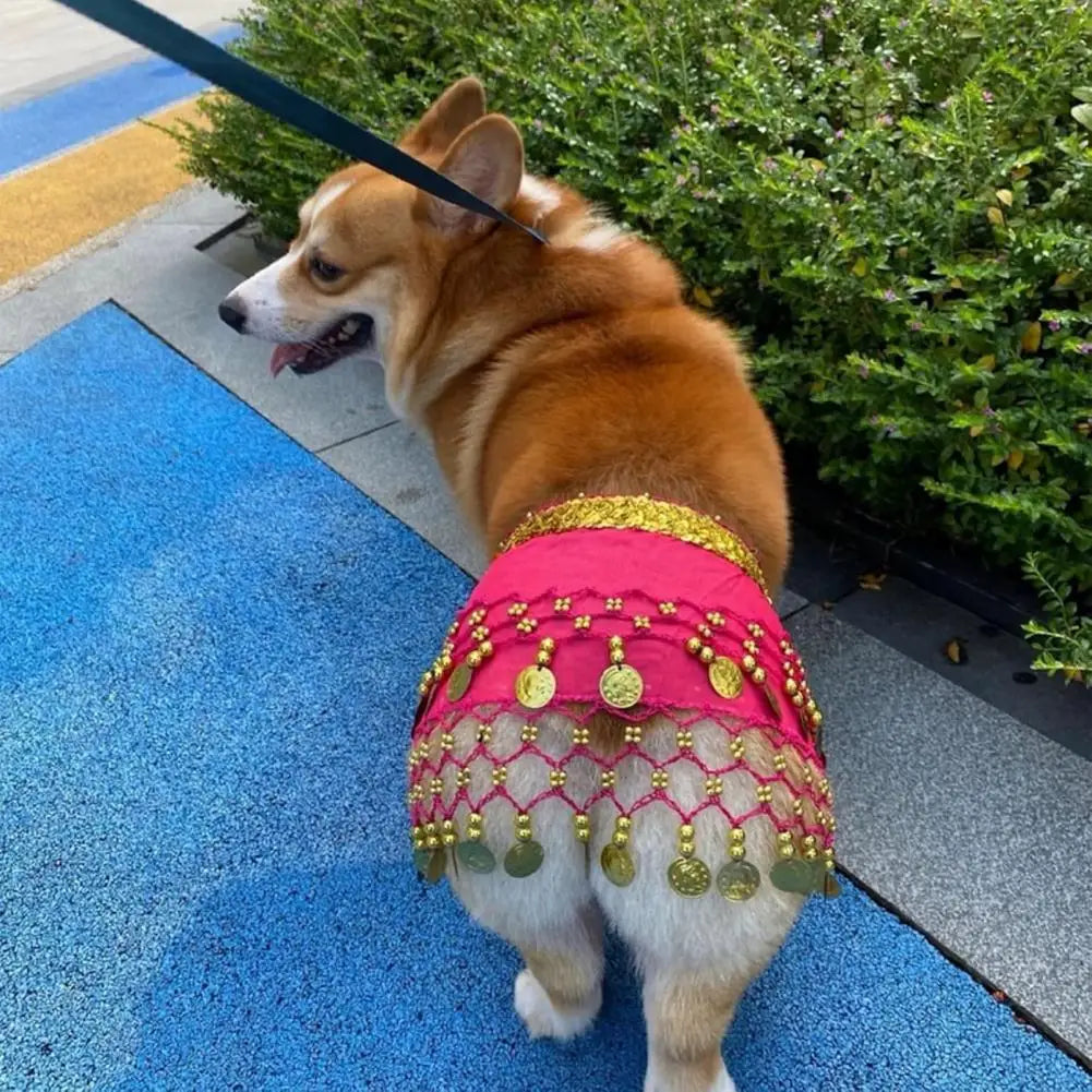 Dog Belly Dance Costume with Charming Details