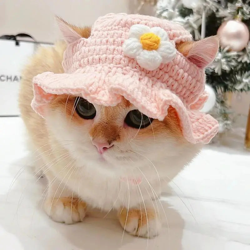 Chapeau de costume pour animal de compagnie de style mignon