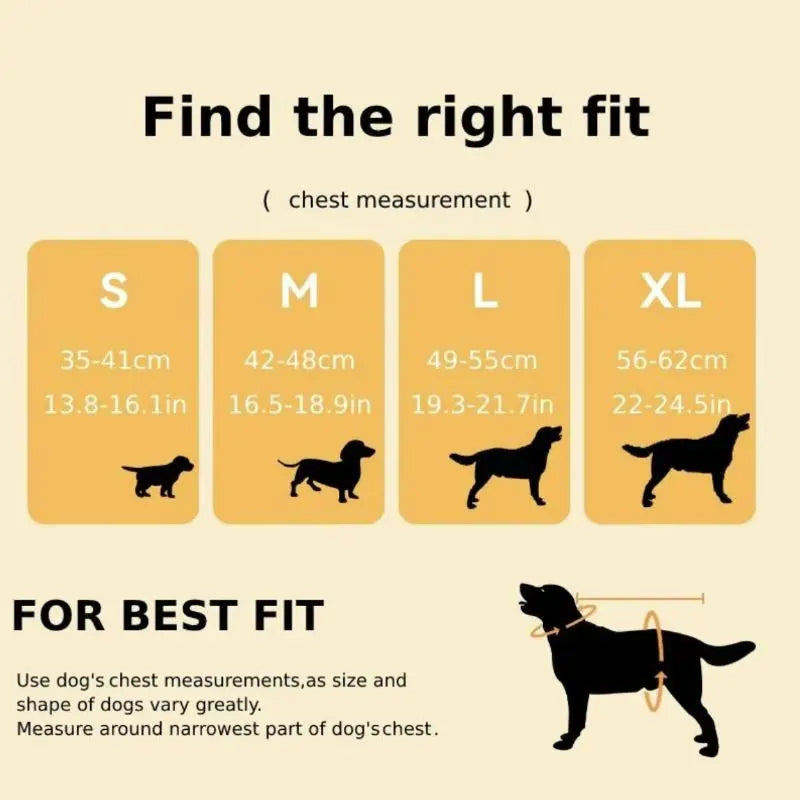 3-in-1 pet carrier and leash for easy travel Backpack-style dog walker with hands-free carrying and built-in storage space