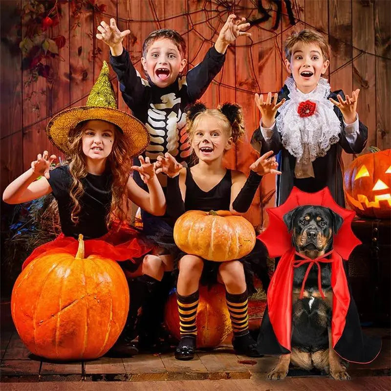 Magical Witch Cape for Halloween Vampire Cat Dog Costumes