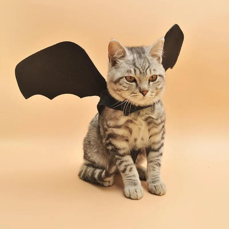 Unique Bat Wing Pet Costume for Dogs & Cats, Perfect Halloween Accessory, Transform Your Pets, Ideal for Dress-Up Performances