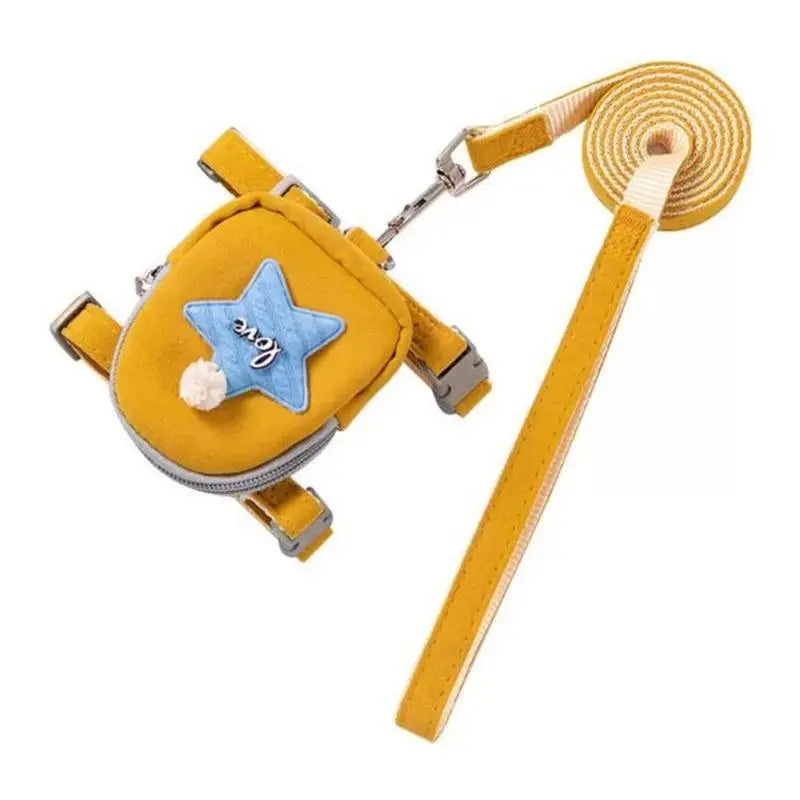 Leash with backpack in the shape of a box