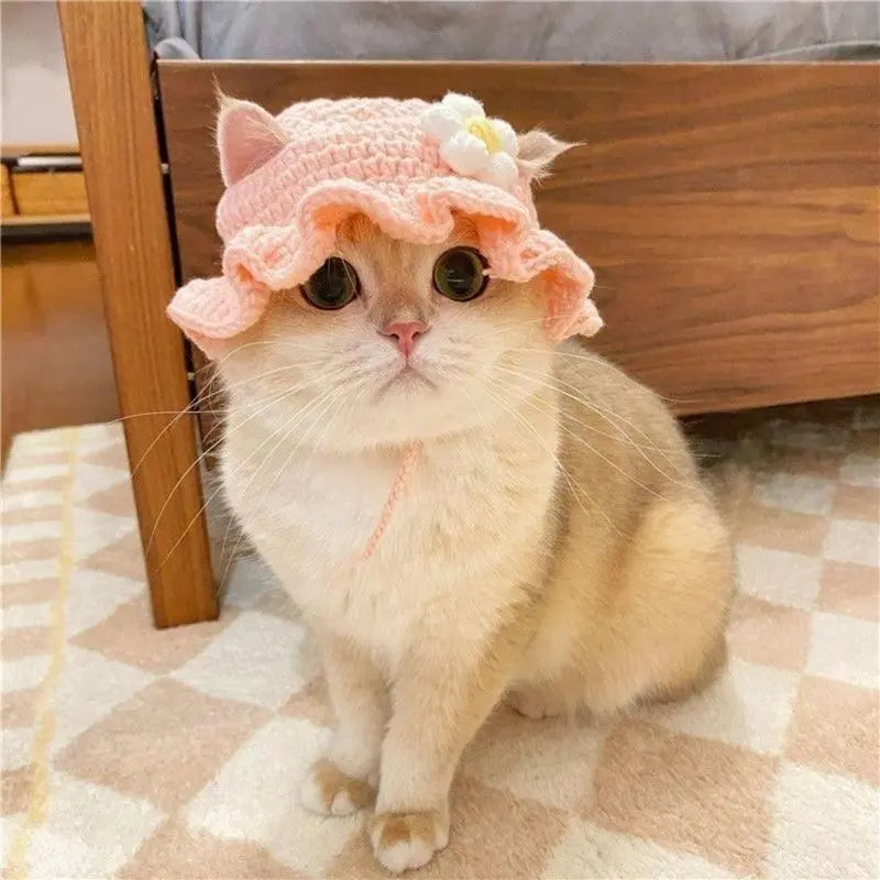 Chapeau de costume pour animal de compagnie de style mignon