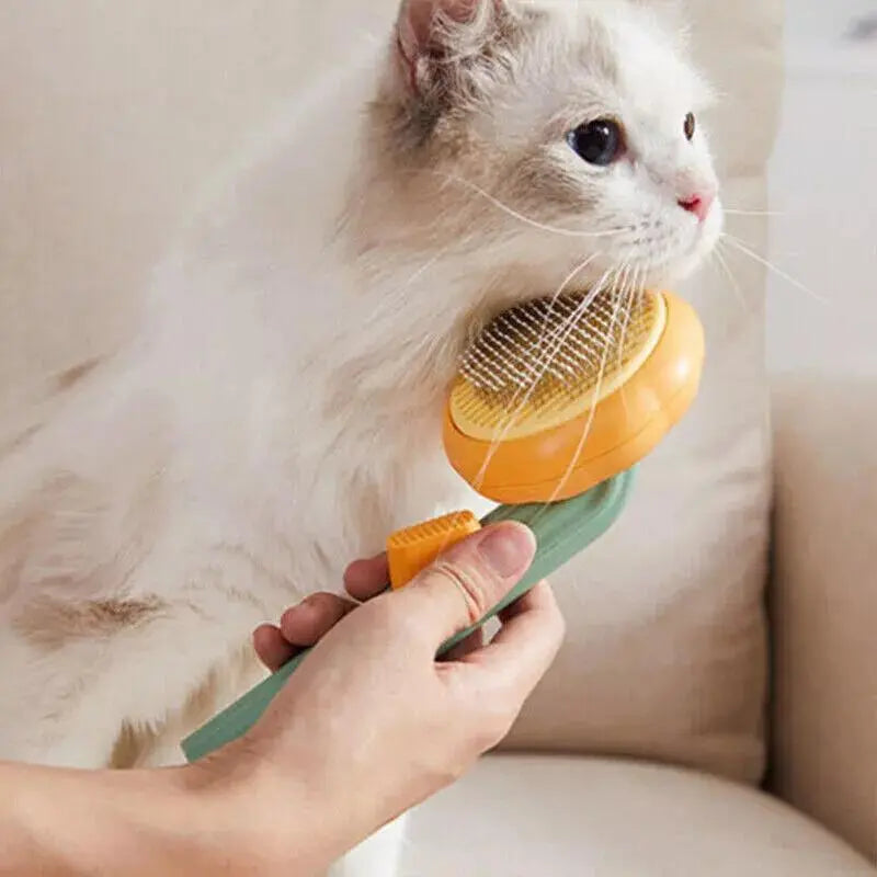 Self-cleaning Pet Comb, Dog and Cat Rabbit Grooming Pumpkin Comb, Easy Care Comb