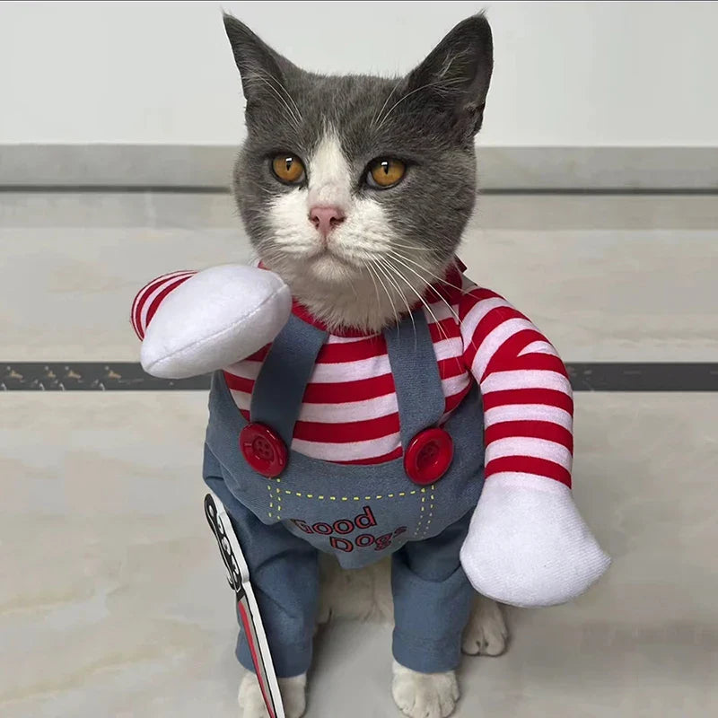 Chucky Halloween Costume for your Chubby Catto