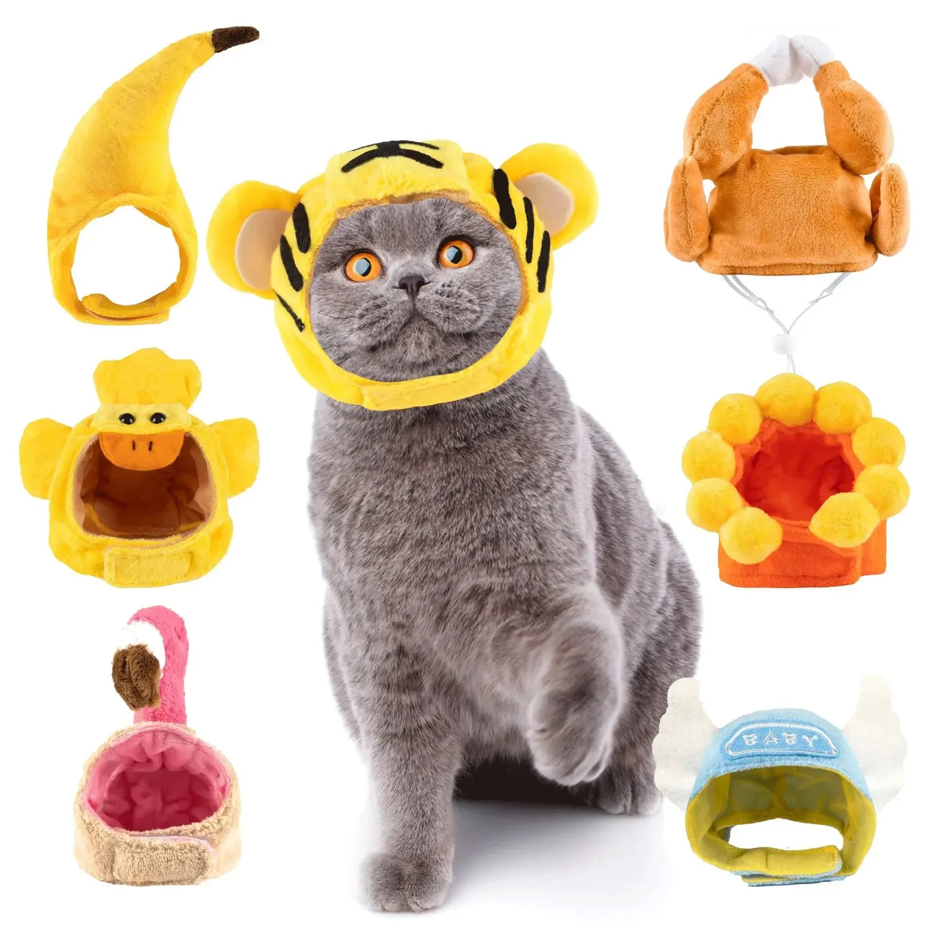 Funny Cat Hats for Costumes by Zoomies & Co