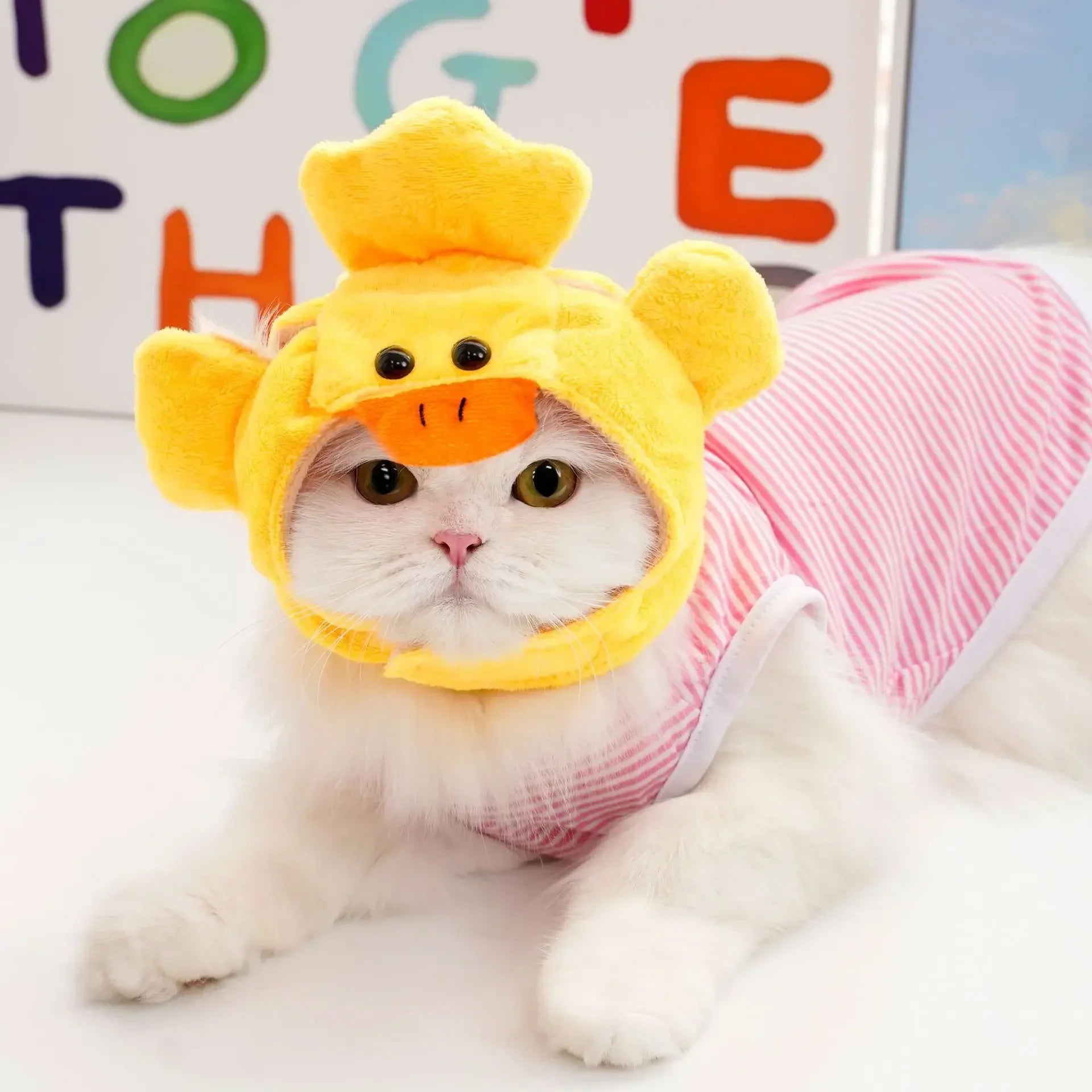 Funny Cat Hats for Costumes by Zoomies & Co
