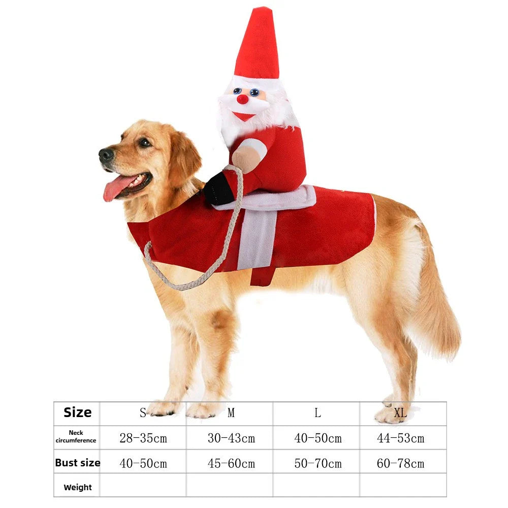 Funny Dog Costumes for Halloween