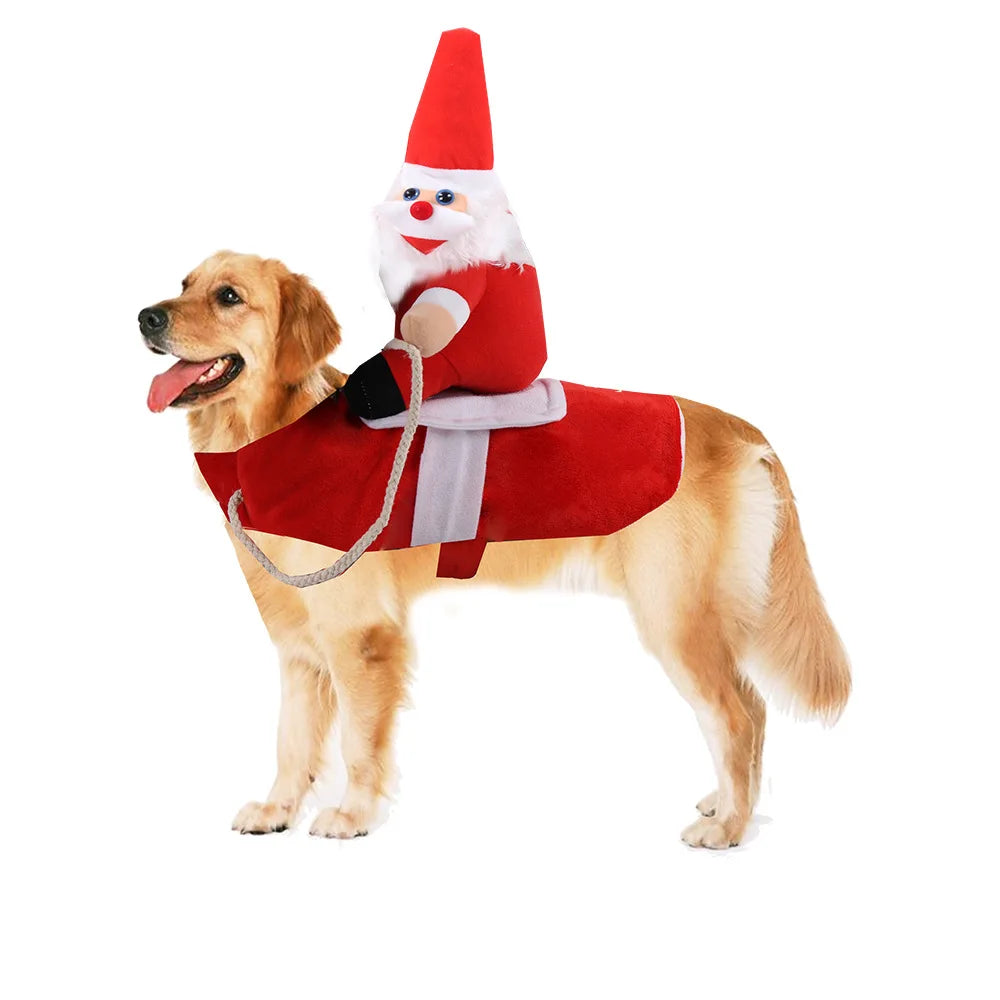 Funny Dog Costumes for Halloween