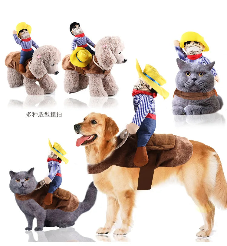 Funny Dog Costumes for Halloween