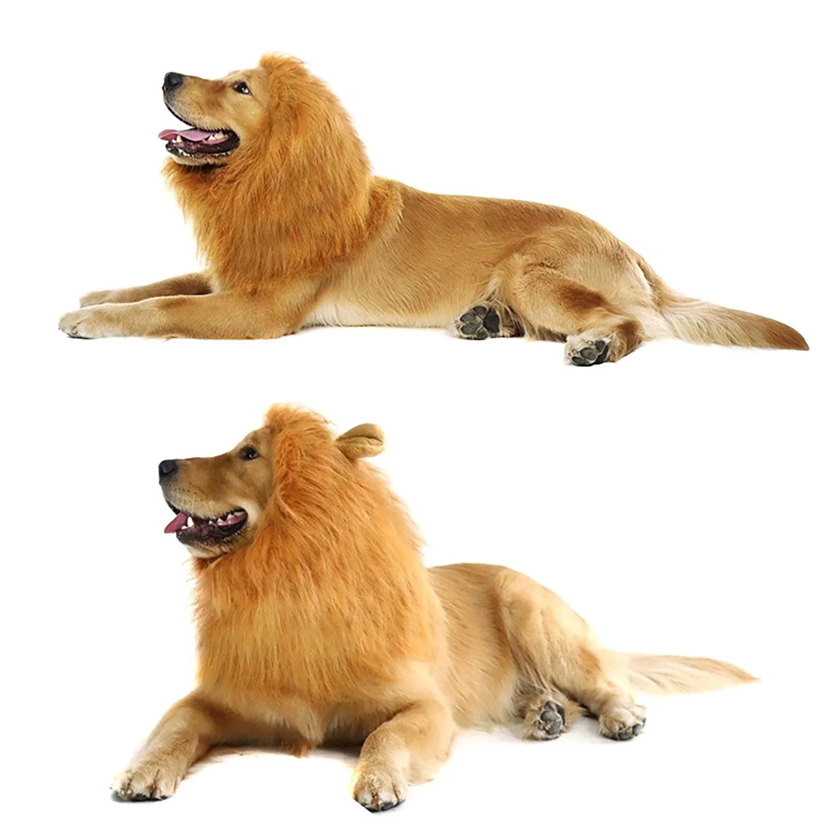 Lion Mane Costume for Cats and Dogs